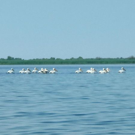 Gorgova Delta Village Luaran gambar
