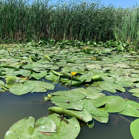 Gorgova Delta Village Luaran gambar