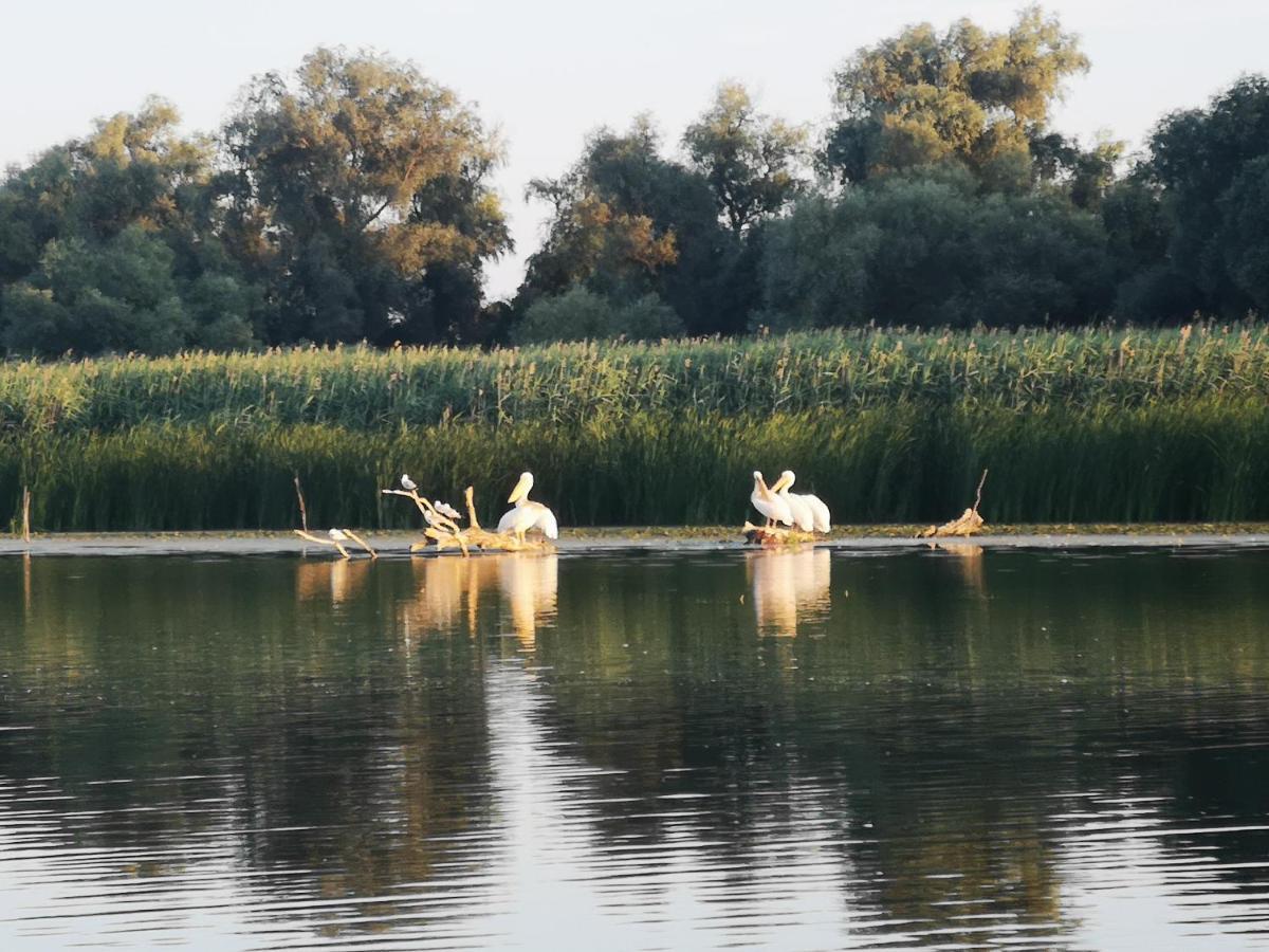 Gorgova Delta Village Luaran gambar