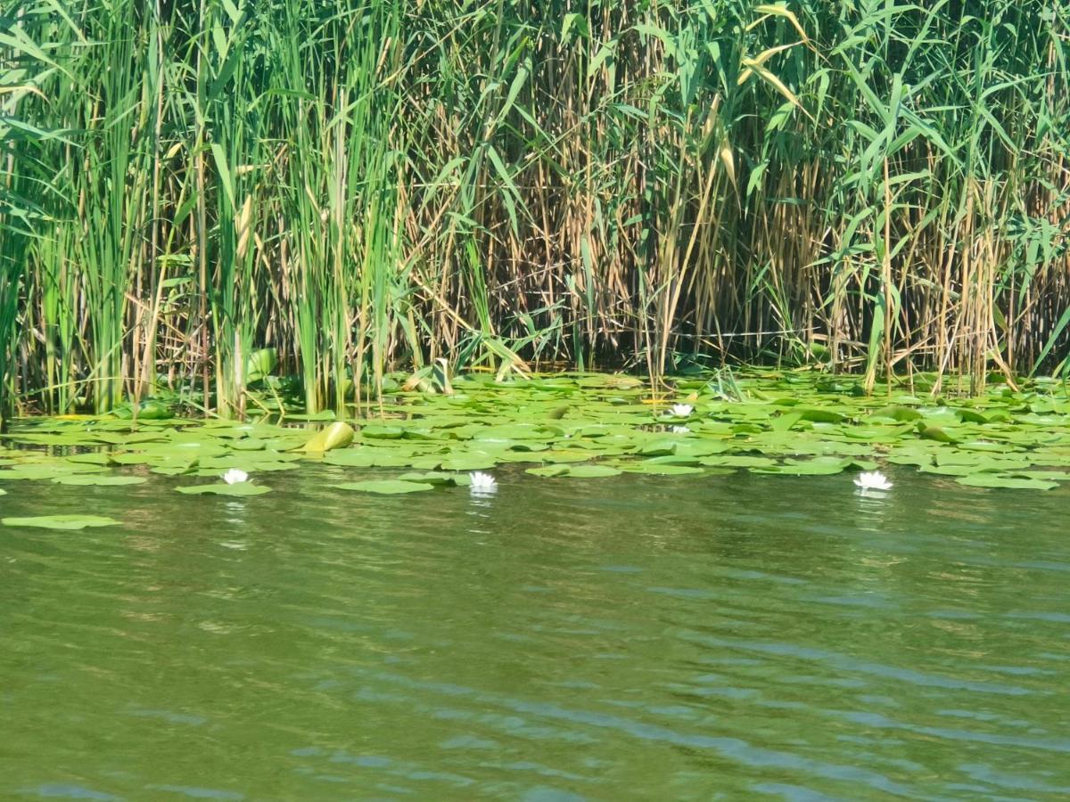 Gorgova Delta Village Luaran gambar