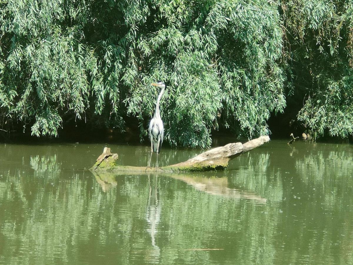 Gorgova Delta Village Luaran gambar