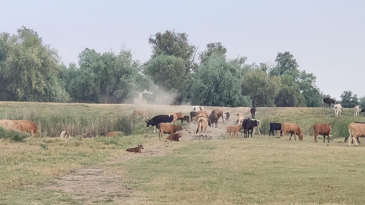 Gorgova Delta Village Luaran gambar