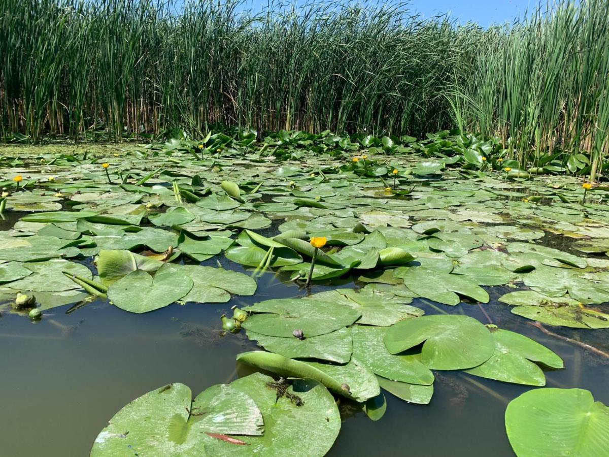 Gorgova Delta Village Luaran gambar